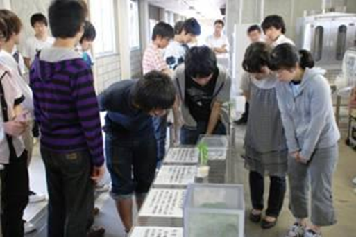 NEWS／特集の画像