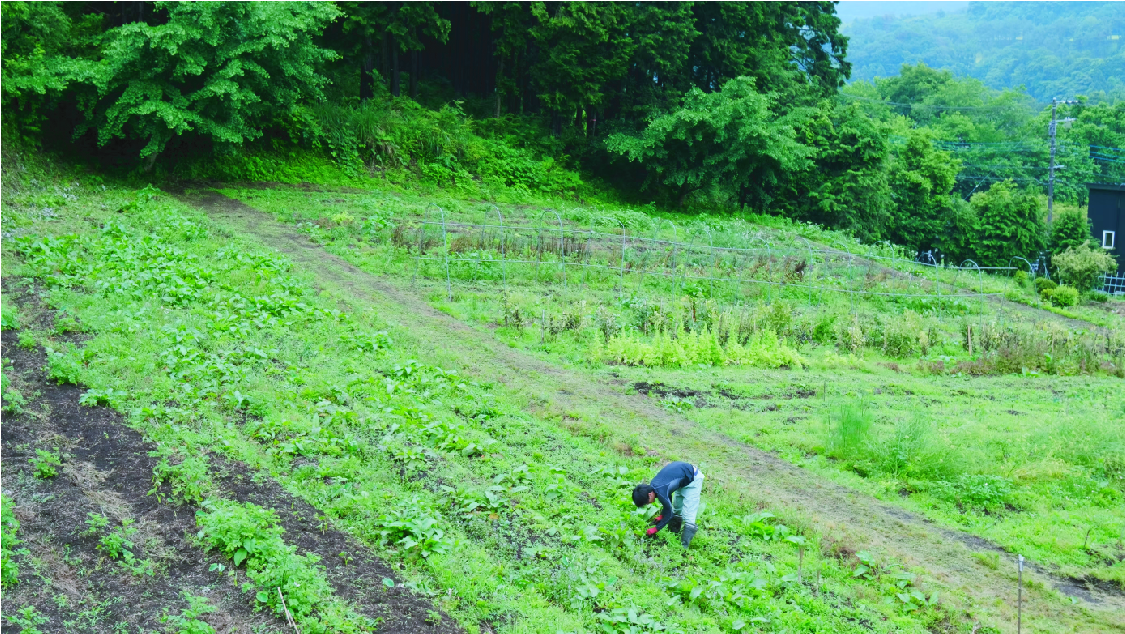 土にふれ、季節を味わう。長竹ファームのやさしい農の時間の画像