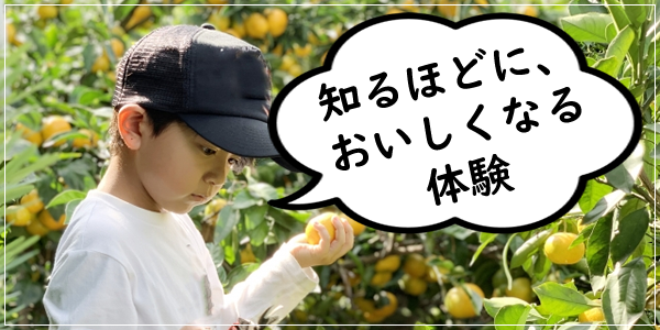 体験＋商品で学べる・味わえる画像